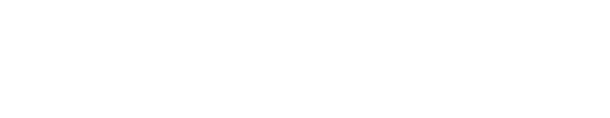 Veritas Performance